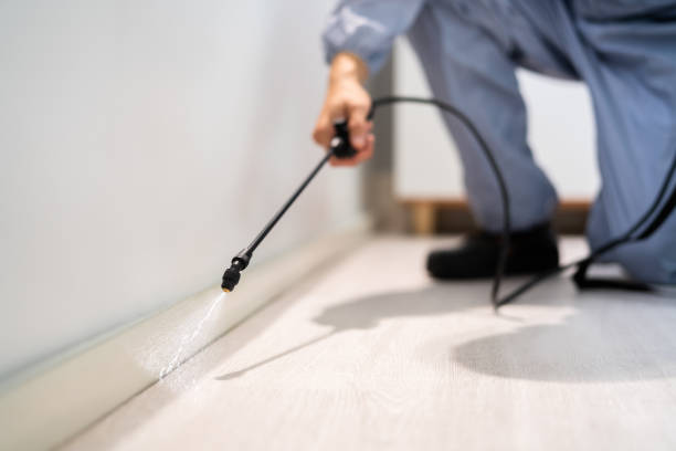 Licensed Mosquito Control service in Edgard, LA - Show Me Pest Control