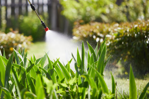 24/7 Emergency Mosquito Control experts in Edgard, LA